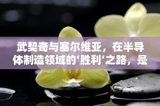武契奇与塞尔维亚，在半导体制造领域的‘胜利’之路，是偶然还是必然？