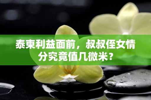 泰柬利益面前，叔叔侄女情分究竟值几微米？