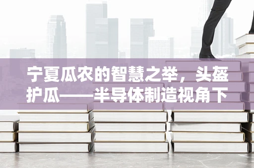 宁夏瓜农的智慧之举，头盔护瓜——半导体制造视角下的农业创新与挑战