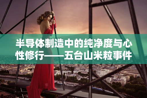 半导体制造中的纯净度与心性修行——五台山米粒事件的启示