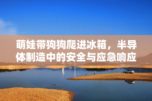 萌娃带狗狗爬进冰箱，半导体制造中的安全与应急响应之惑