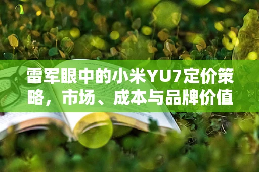 雷军眼中的小米YU7定价策略，市场、成本与品牌价值的平衡艺术