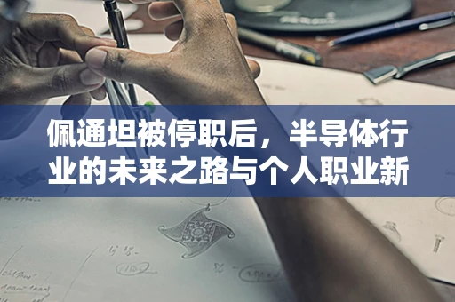 佩通坦被停职后，半导体行业的未来之路与个人职业新航向