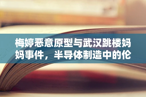 梅婷恶意原型与武汉跳楼妈妈事件，半导体制造中的伦理与责任反思
