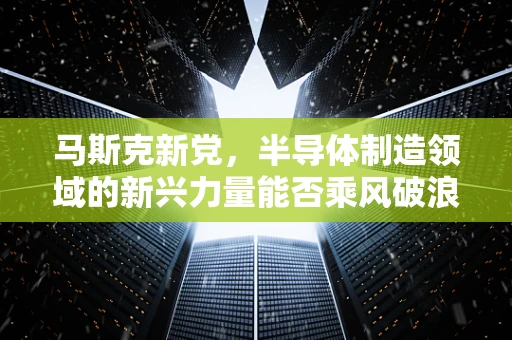 马斯克新党，半导体制造领域的新兴力量能否乘风破浪？