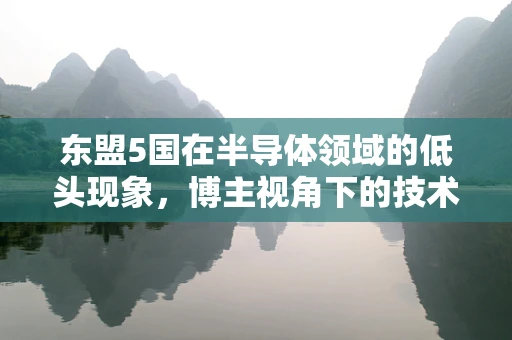 东盟5国在半导体领域的低头现象，博主视角下的技术合作与地缘政治博弈