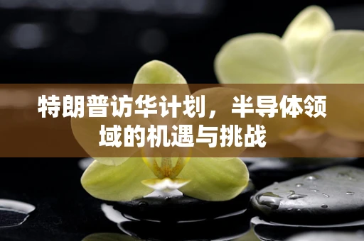 特朗普访华计划，半导体领域的机遇与挑战