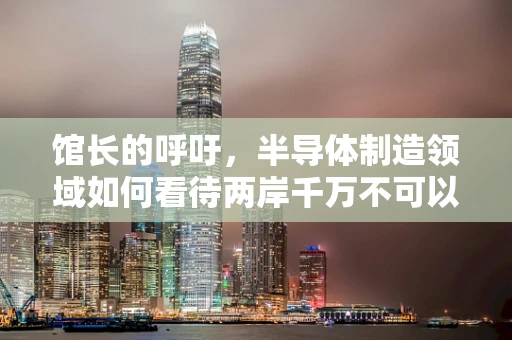馆长的呼吁，半导体制造领域如何看待两岸千万不可以打仗的警示？