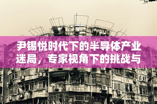 尹锡悦时代下的半导体产业迷局，专家视角下的挑战与未来