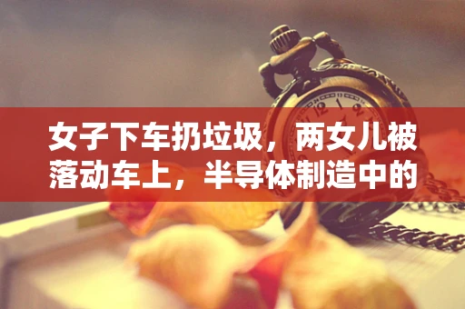 女子下车扔垃圾，两女儿被落动车上，半导体制造中的安全意识与应急处理