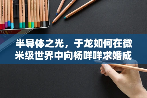 半导体之光，于龙如何在微米级世界中向杨咩咩求婚成功？
