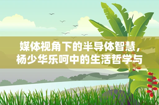 媒体视角下的半导体智慧，杨少华乐呵中的生活哲学与行业启示
