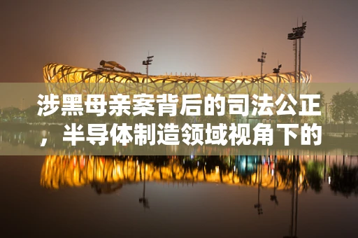 涉黑母亲案背后的司法公正，半导体制造领域视角下的法律伦理与职业操守
