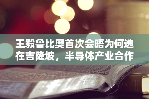 王毅鲁比奥首次会晤为何选在吉隆坡，半导体产业合作的战略考量