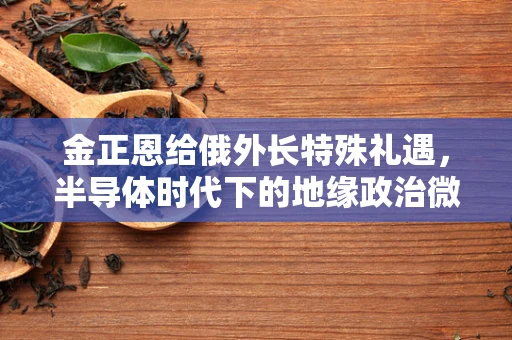 金正恩给俄外长特殊礼遇，半导体时代下的地缘政治微妙信号？