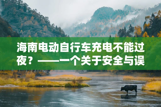 海南电动自行车充电不能过夜？——一个关于安全与误解的探讨