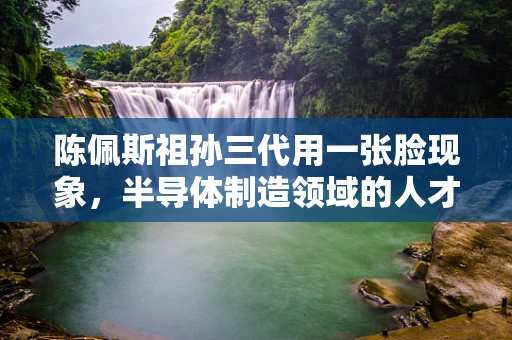 陈佩斯祖孙三代用一张脸现象，半导体制造领域的人才传承与技术创新之问