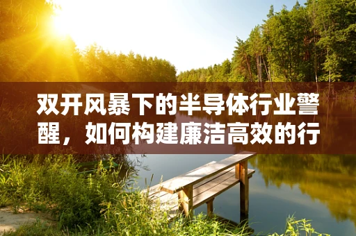 双开风暴下的半导体行业警醒，如何构建廉洁高效的行业生态？