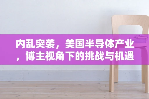 内乱突袭，美国半导体产业，博主视角下的挑战与机遇