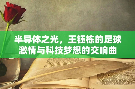 半导体之光，王钰栋的足球激情与科技梦想的交响曲