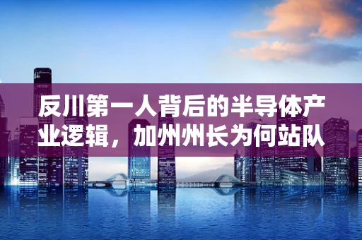 反川第一人背后的半导体产业逻辑，加州州长为何站队？