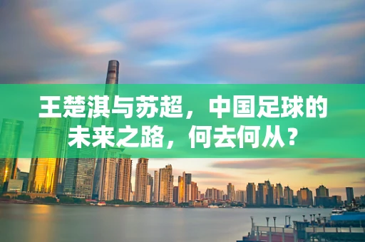 王楚淇与苏超，中国足球的未来之路，何去何从？