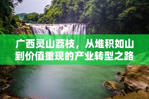 广西灵山荔枝，从堆积如山到价值重现的产业转型之路