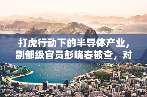 打虎行动下的半导体产业，副部级官员彭晓春被查，对行业有何警示？