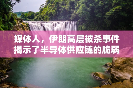 媒体人，伊朗高层被杀事件揭示了半导体供应链的脆弱性？