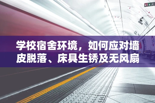 学校宿舍环境，如何应对墙皮脱落、床具生锈及无风扇的挑战？