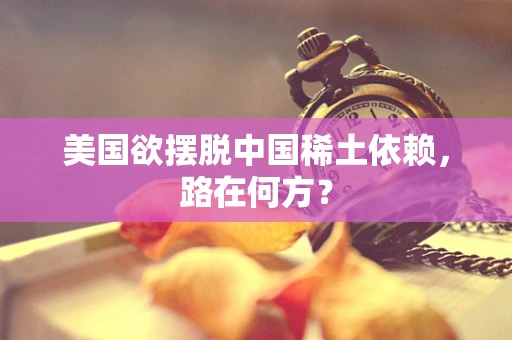 美国欲摆脱中国稀土依赖，路在何方？