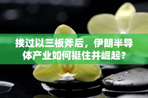 挨过以三板斧后，伊朗半导体产业如何挺住并崛起？