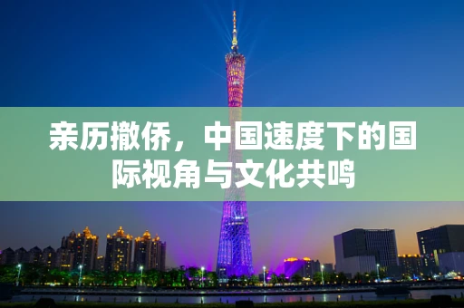 亲历撤侨，中国速度下的国际视角与文化共鸣