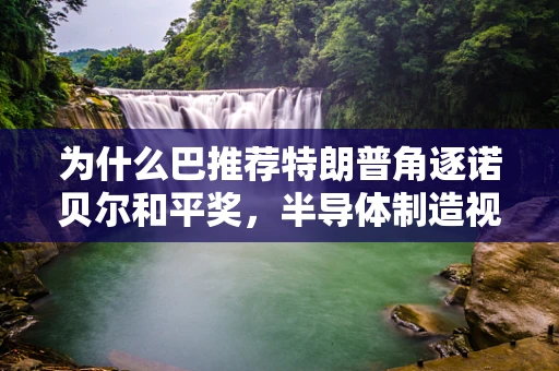 为什么巴推荐特朗普角逐诺贝尔和平奖，半导体制造视角下的国际政治与和平努力