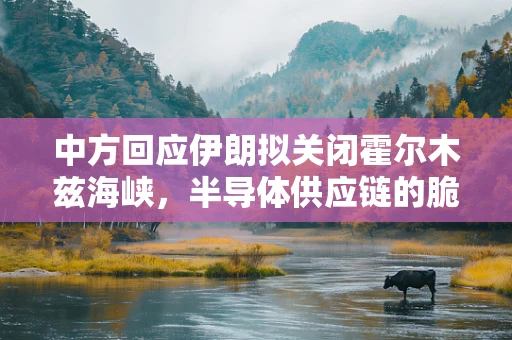 中方回应伊朗拟关闭霍尔木兹海峡，半导体供应链的脆弱性与全球安全新挑战