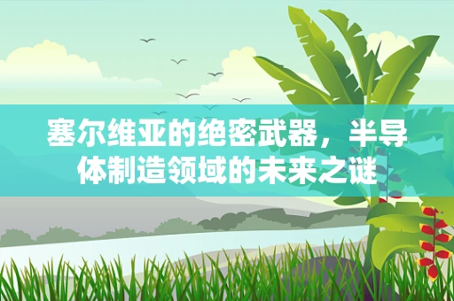 塞尔维亚的绝密武器，半导体制造领域的未来之谜