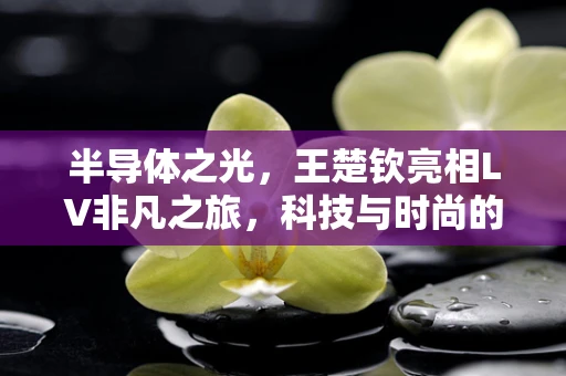 半导体之光，王楚钦亮相LV非凡之旅，科技与时尚的跨界碰撞