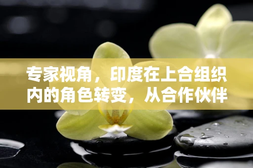 专家视角，印度在上合组织内的角色转变，从合作伙伴到麻烦制造者？