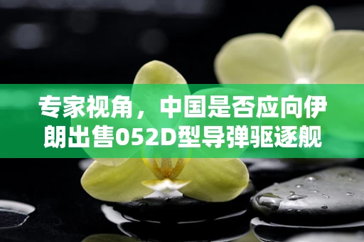专家视角，中国是否应向伊朗出售052D型导弹驱逐舰——需谨慎权衡的决策