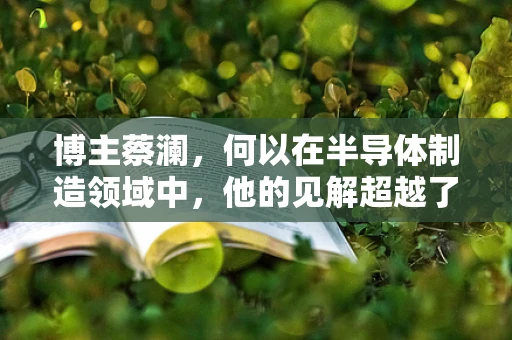 博主蔡澜，何以在半导体制造领域中，他的见解超越了大多数年轻人？