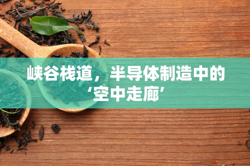 峡谷栈道，半导体制造中的‘空中走廊’
