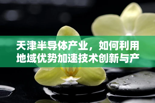 天津半导体产业，如何利用地域优势加速技术创新与产业升级？