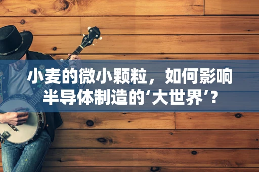 小麦的微小颗粒，如何影响半导体制造的‘大世界’？