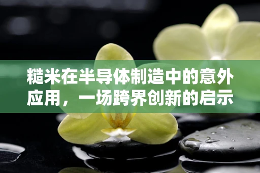 糙米在半导体制造中的意外应用，一场跨界创新的启示