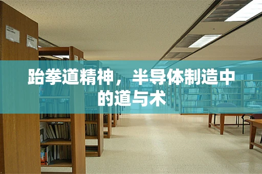 跆拳道精神，半导体制造中的道与术