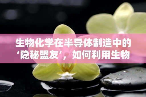 生物化学在半导体制造中的‘隐秘盟友’，如何利用生物分子提升硅基材料性能？
