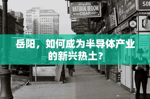 岳阳，如何成为半导体产业的新兴热土？