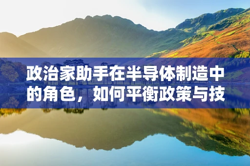 政治家助手在半导体制造中的角色，如何平衡政策与技术创新？