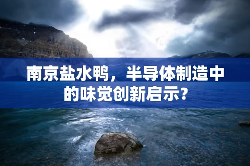 南京盐水鸭，半导体制造中的味觉创新启示？