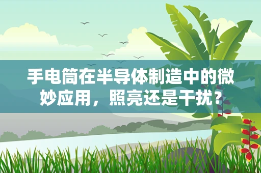 手电筒在半导体制造中的微妙应用，照亮还是干扰？
